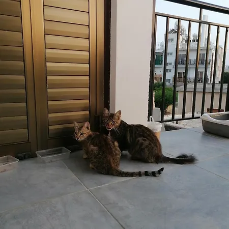 Homestay szállás The Host - Women And Couples Only Paphos