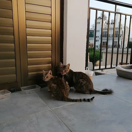 Habitación en casa particular The Host - Women And Couples Only Paphos